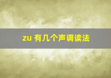 zu 有几个声调读法